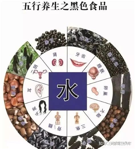 五行属水的食物|四季的五行属性及食物搭配